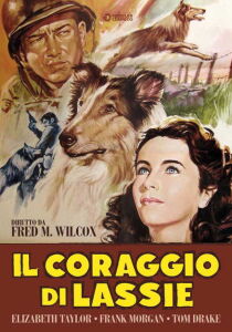 Il coraggio di Lassie streaming